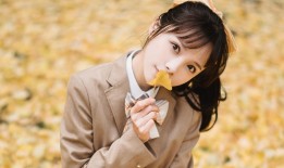 网站SEO优化实战案例解析