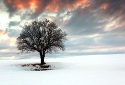 吉安专业网站营销推广公司推荐