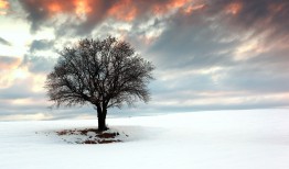 网络日志六个月汇总分析