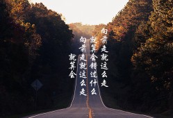 青于蓝排名技术建站优化方案