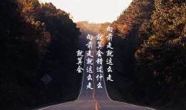 营销推广网站排名及精选推荐