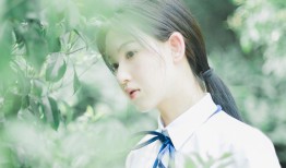 互联网络公司能够提供的多样化服务与解决方案