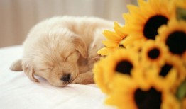 感悟生活中的受伤心情