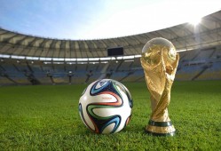 SEO优化工程师：提升网站可见性的专业之道