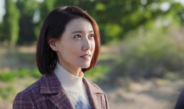 搜狐网站SEO优化策略与实施建议范文