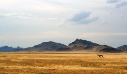 网络直径：理解互联网络的规模与连接特性
