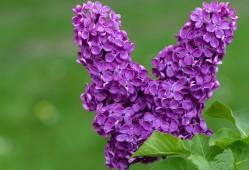 白沙技术建站产品全面解析与应用指南