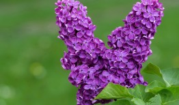 国外网站SEO优化技巧与实战指南