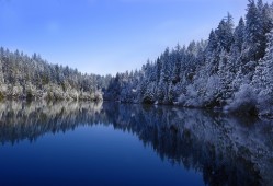 全球三大互联网络公司最新排名