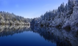 张家口企业网站推广高效策略与实施方法