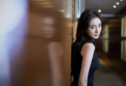 软件建站与技术开发的全面解析