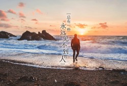 外贸独立站建站全攻略：从零开始打造高效国际电商网站