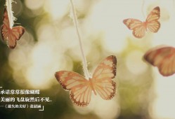 免费建站需要掌握哪些关键技术