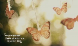 郑州SEO网站优化服务代办