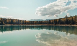 建站技术有限公司的创新解决方案与技术优势