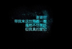 网站推广的高效营销策略与主题解析