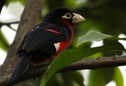 沁阳哪家网站SEO优化服务好？