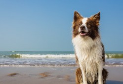 3ds Max软件应用教程