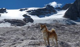化学互联网络的构建与应用探索
