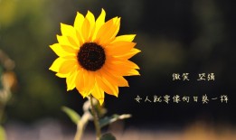 推荐几部精彩的互联网络战题材电视剧