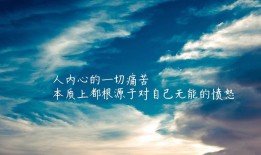 深圳市有间互联网络科技有限公司简介