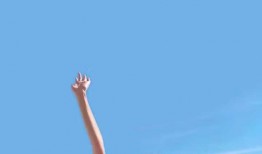 探索智能互联网络技术的奥秘