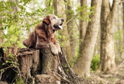 微景观外贸网站搭建实用技巧与步骤解析