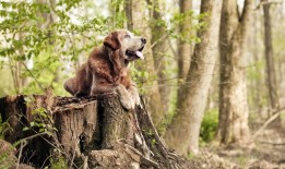 建站技术深度解析与实用指南