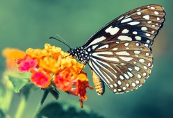 如何正确填写建站技术手册