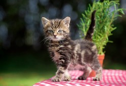 心情随笔：生活中的点滴感悟