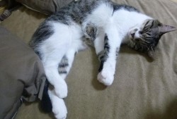 馆陶网站推广营销的可行性分析