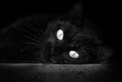 元谋建站技术的创新与应用