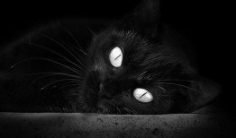 高效建站优化全攻略：提升网站性能与用户体验的关键技巧