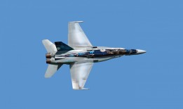 游子情怀：感悟生活的点滴与心声