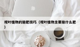 观叶植物的施肥技巧（观叶植物主要施什么肥）