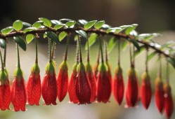 H5建站技术全解析：高效构建响应式网站的实用指南