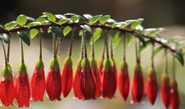 SEO网站优化实战指南