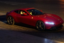 上海建站技术开发优化方案