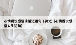 心情说说感悟生活短语句子简短（心情说说感悟人生短句）