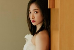 信阳SEO网站优化技巧与实战指南