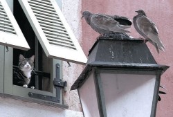 宁乡专业营销型网站推广服务公司