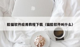 脸猫软件应用教程下载（猫脸软件叫什么）