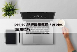 perject软件应用教程（project应用技巧）