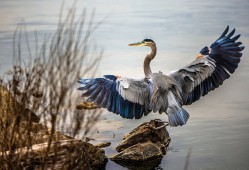 深圳市星火互联网络科技有限公司