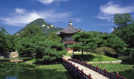 网站SEO优化的核心原理与实践指南