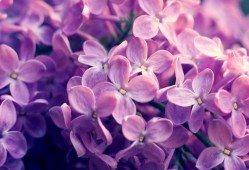 百度建站指南公众号优化技巧分享