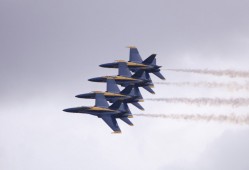 阿拉山口专业SEO优化服务公司