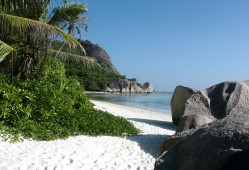 最新充电站建设实用指南