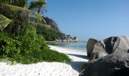 网站营销推广市场现状与趋势分析