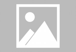 重庆优质模板建站技术推荐